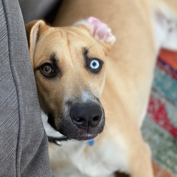 Meet your Posher, Becky - Picture 5 of 5